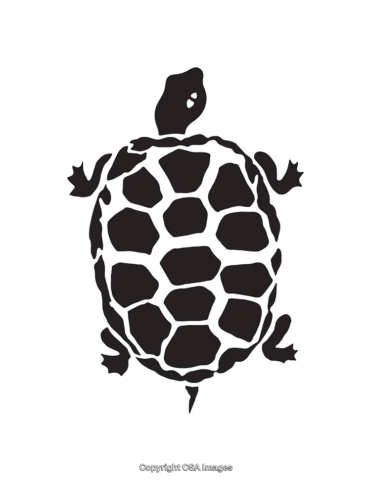 Black And White Line Art Illustration of a Tortoise