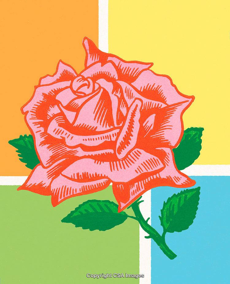 Vibrant Pink Rose Illustration on a Bright Abstract Geometric Background