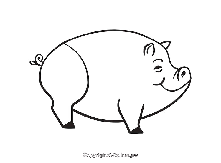 Black and White Line Art of a Smiling Pig Illustration