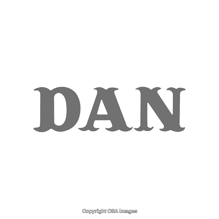 Bold Scalable Typography Design with the Word "DAN" in Gray Style