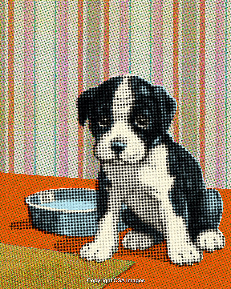 Adorable Puppy Sitting Near Water Bowl Against Colorful Striped Background