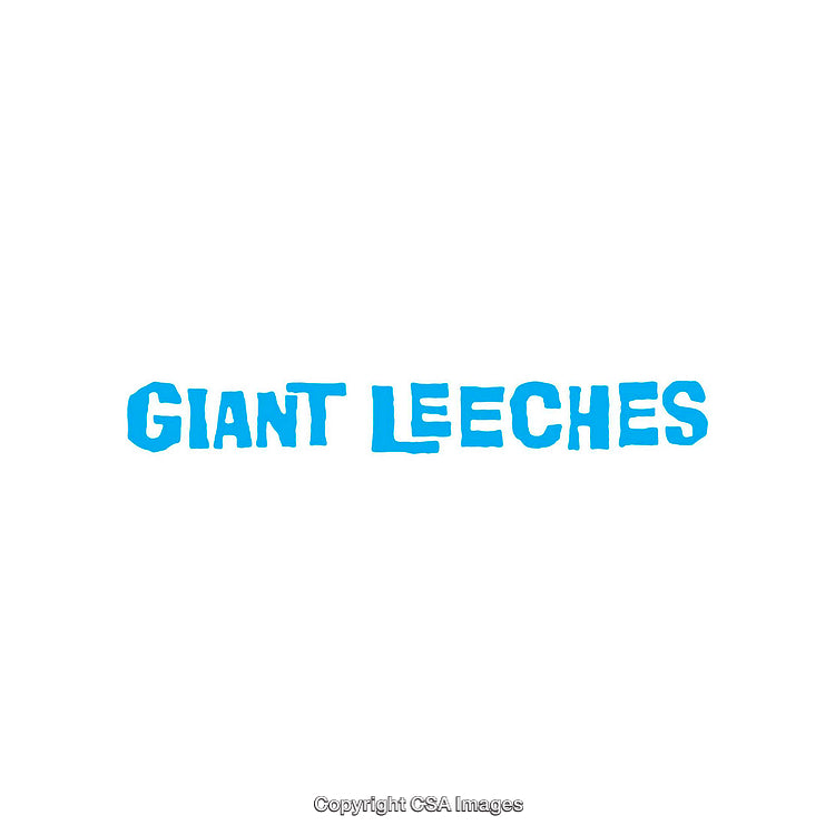 Bold Blue Text Featuring the Words Giant Leeches on White Background
