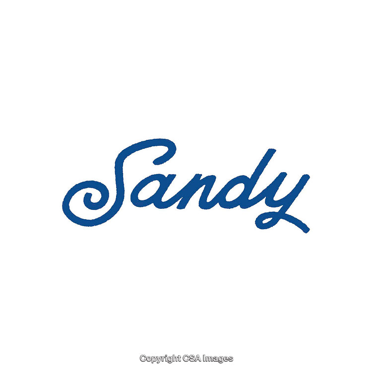 Cursive Blue Script Lettering Spelling the Word Sandy on White Background