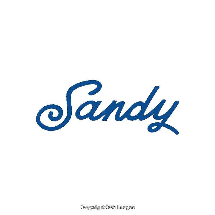 Cursive Blue Script Lettering Spelling the Word Sandy on White Background