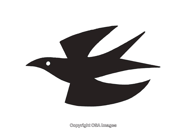Bold Black Silhouette of a Flying Bird in Minimal Style