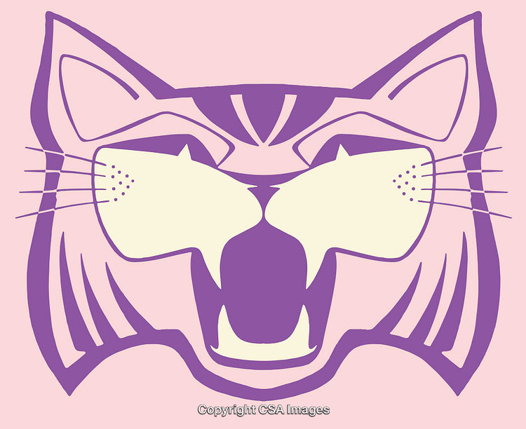 Whimsical Line Art Illustration of a Cat Face in Purple and Pink