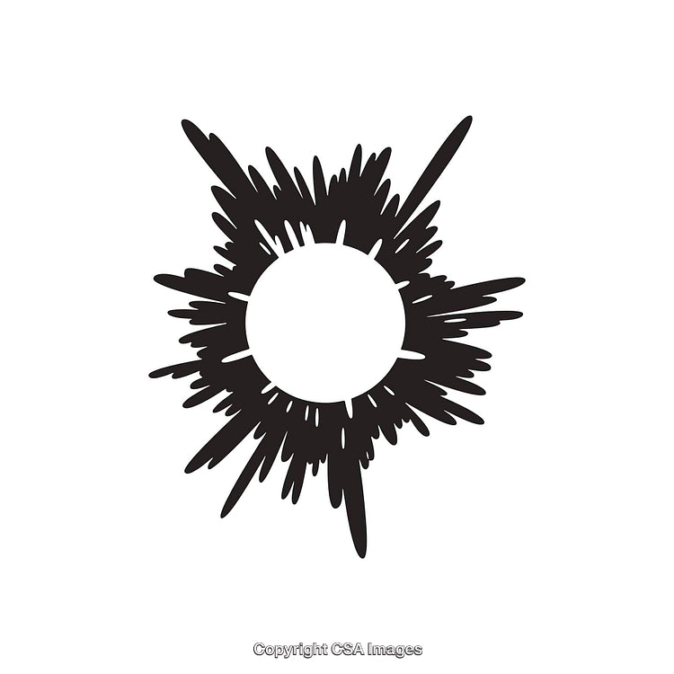 Abstract Black and White Circular Burst Pattern with Radial Lines