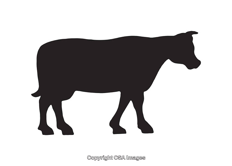 Silhouette Illustration of a Cow in a Black and White Design