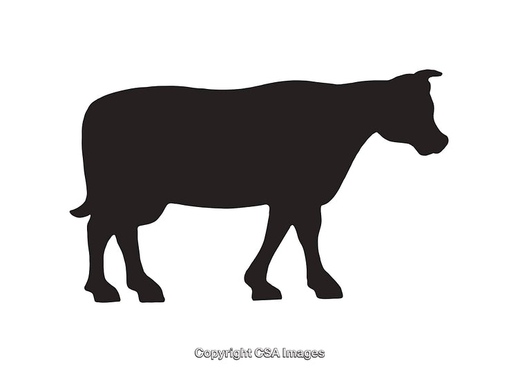 Silhouette Illustration of a Cow in a Black and White Design