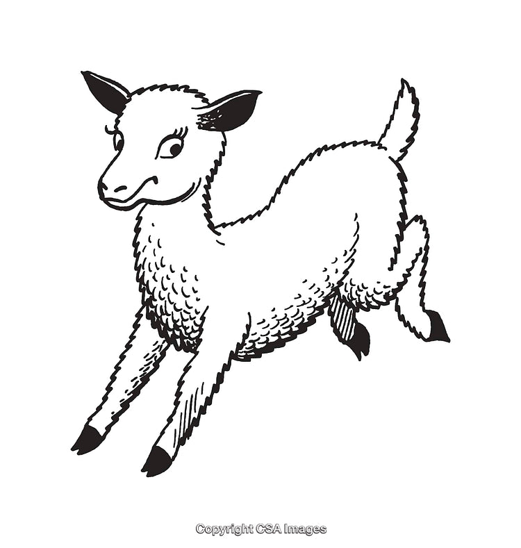Playful Line Art Illustration of a Frolicking Lamb in Black and White