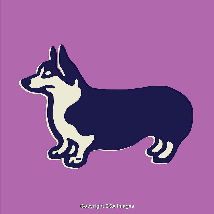 Stylized Corgi Illustration in Bold Colors on Vibrant Background