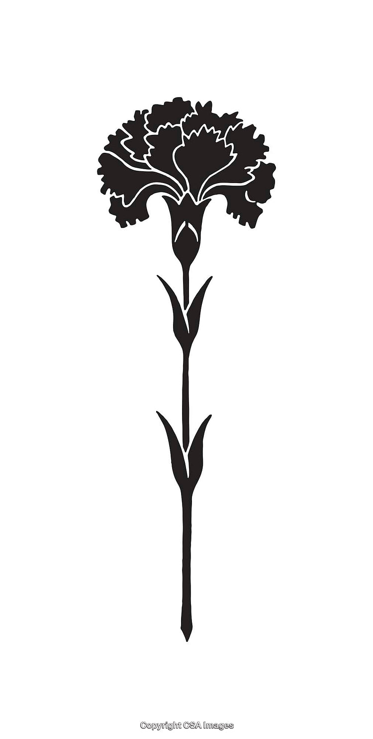 Black and White Silhouette of a Carnation Line Art Illustration