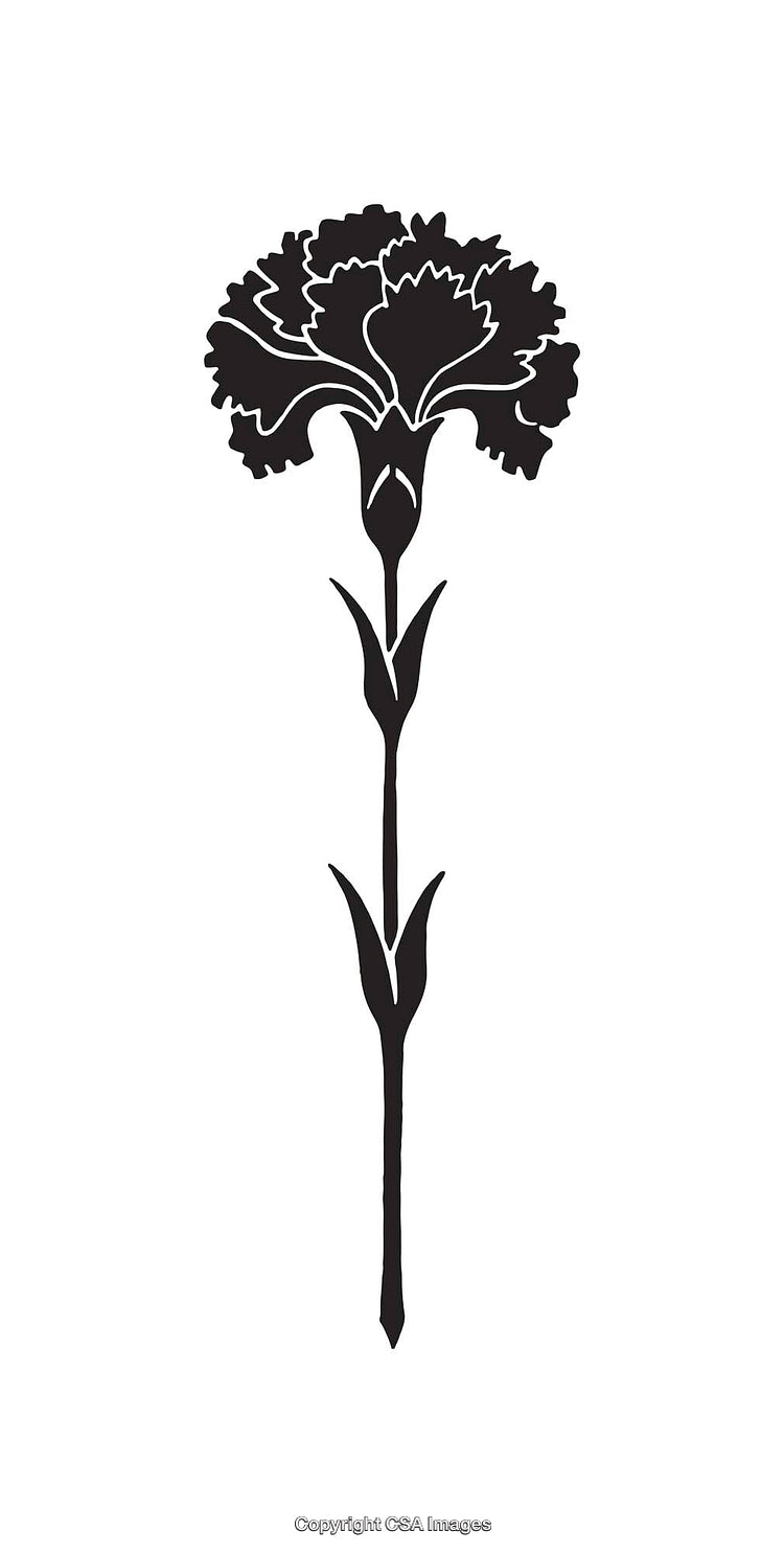 Black and White Silhouette of a Carnation Line Art Illustration