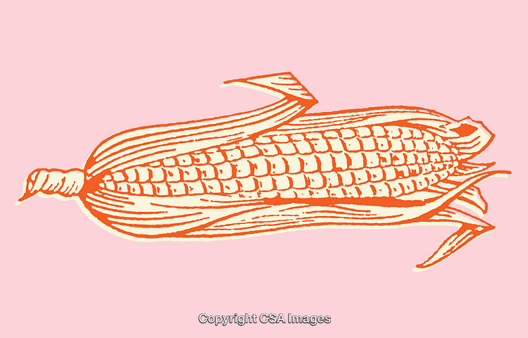 Colorful Line Art Illustration of Corn on a Pink Background