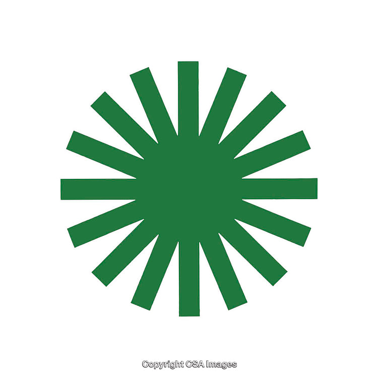 Green Sunburst Symbol on a White Background