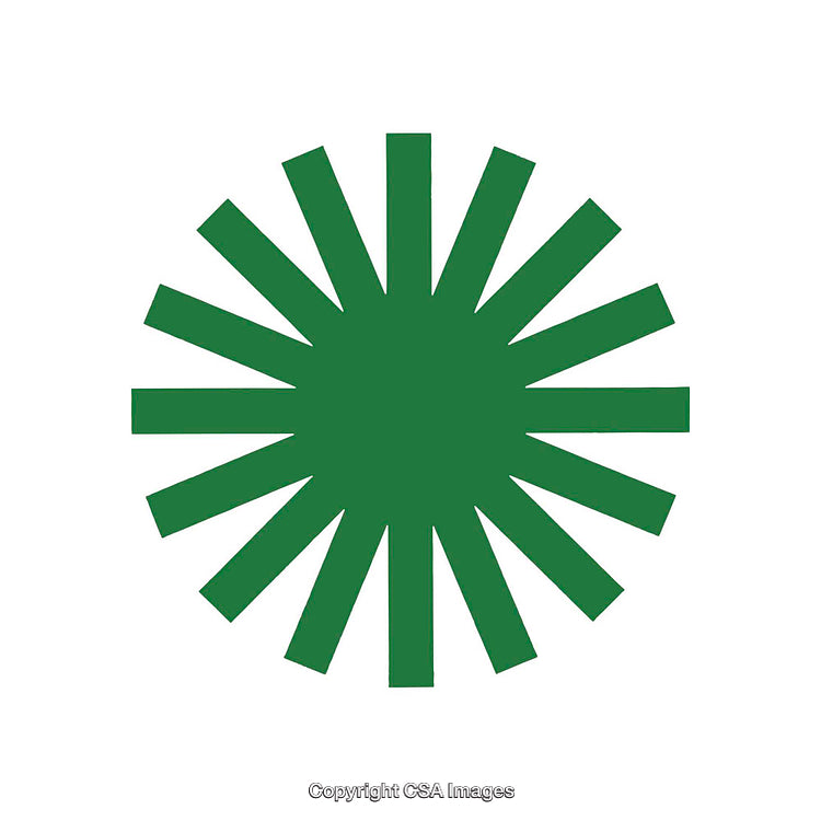 Green Sunburst Symbol on a White Background