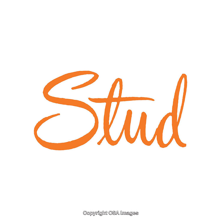 Handwritten Calligraphy Orange Script on White Background