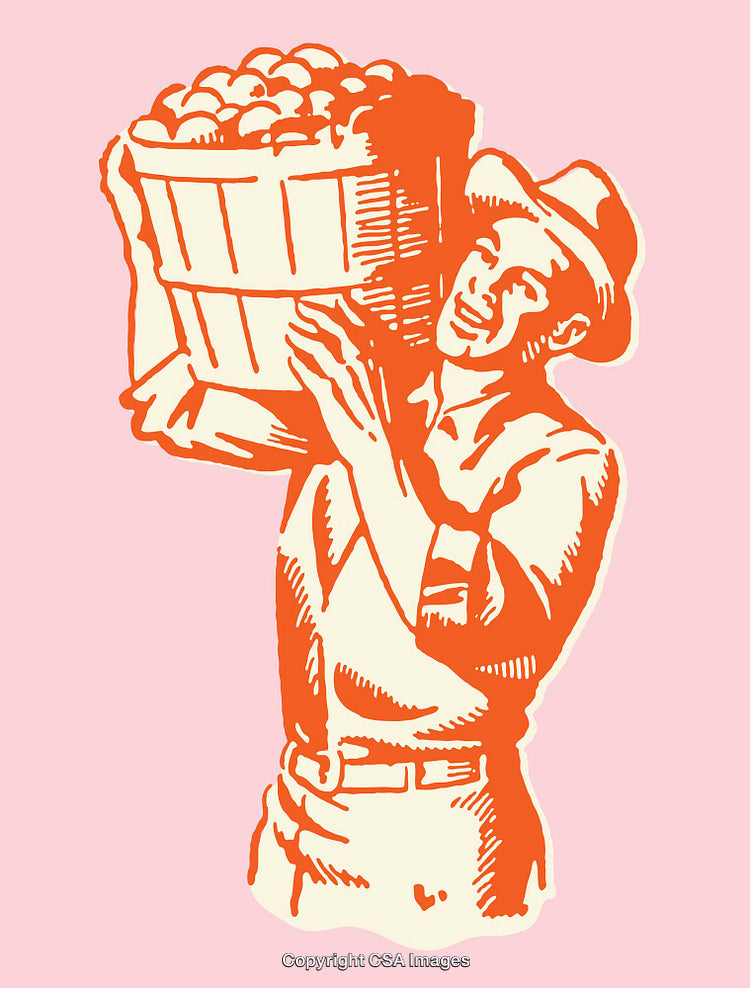 Color Illustration of a Worker Carrying a Basket of Harvested Apples