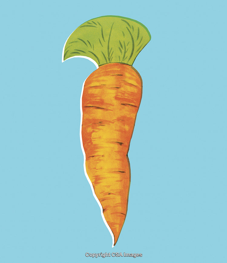 Illustration of a Carrot with Green Leaf on Blue Background