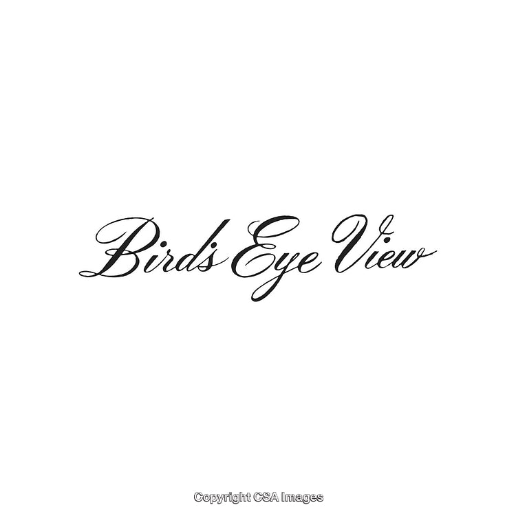 Elegant Black Calligraphy Font Featuring 'Birds Eye View' Text Style