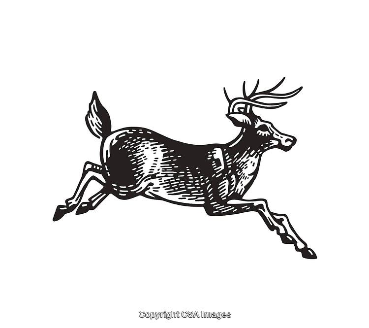 Vintage Black and White Illustration of a Graceful Jumping Deer