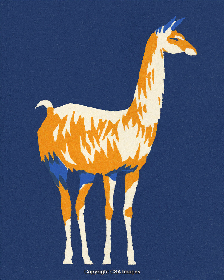 Colorful Abstract Illustration of a Llama in Artistic Style