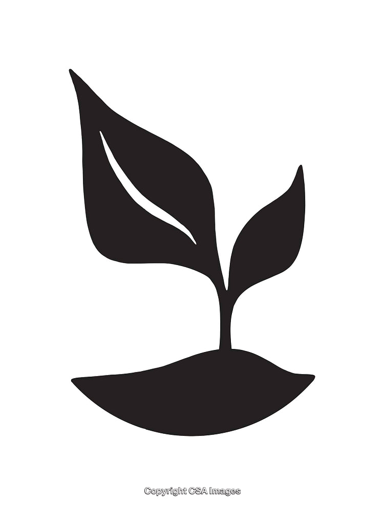 Black and White Icon of a Sprouting Plant