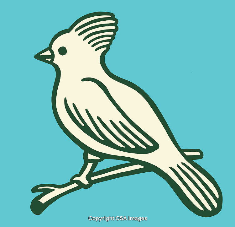 Stylized Line Art Illustration of a Bird Sitting on a Branch