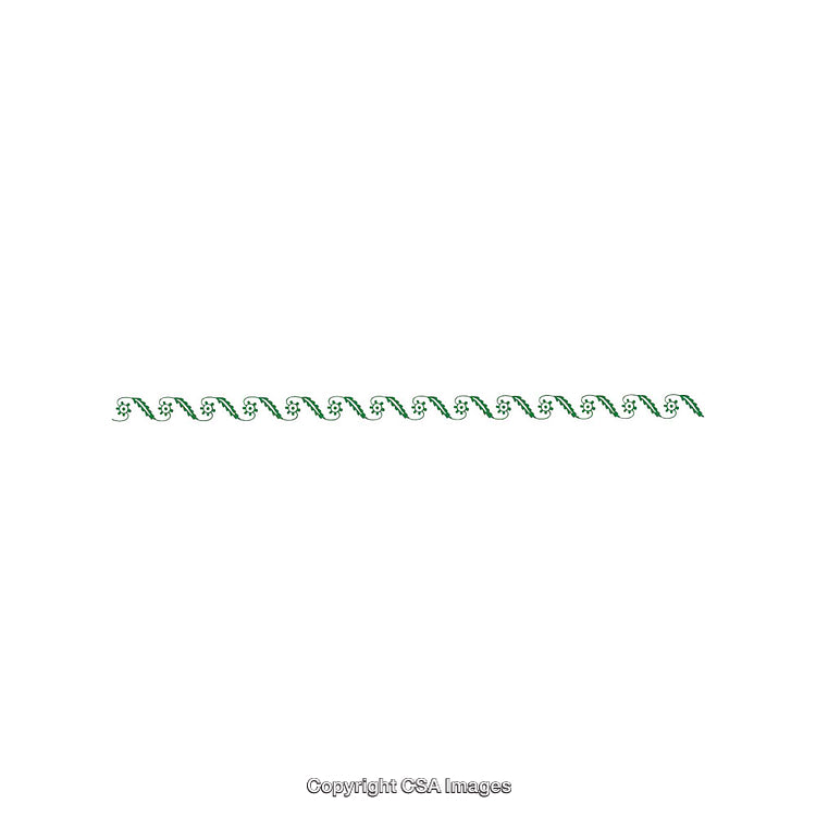 Decorative Border With Floral Pattern and Green Leaves on White Background