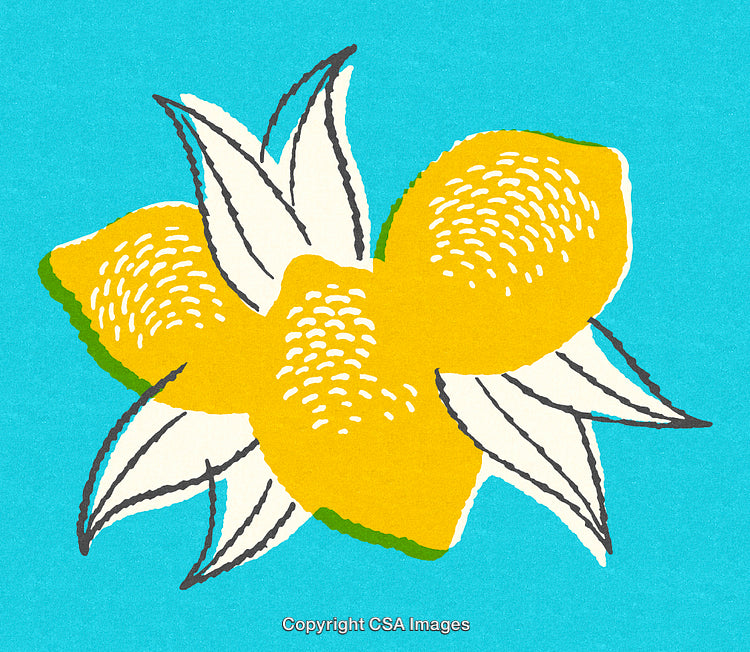 Bright Artistic Illustration of Yellow Lemons with White Leaves on Blue Background