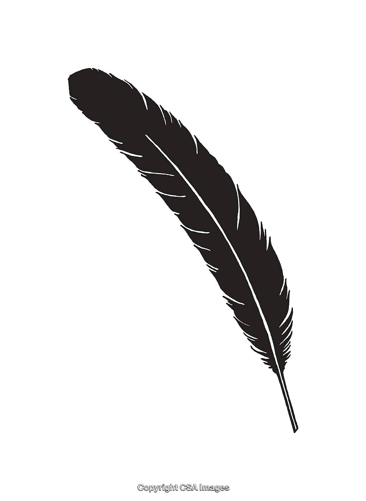 Minimalist Black and White Feather Line Art Illustration Isolated on White