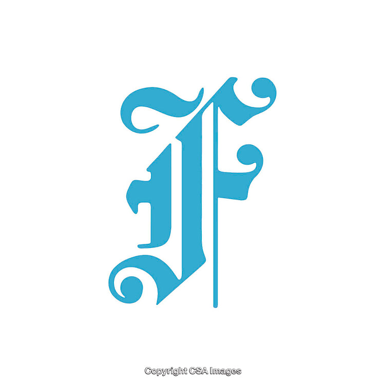 Ornamental Calligraphic Blue Letter E on White Background