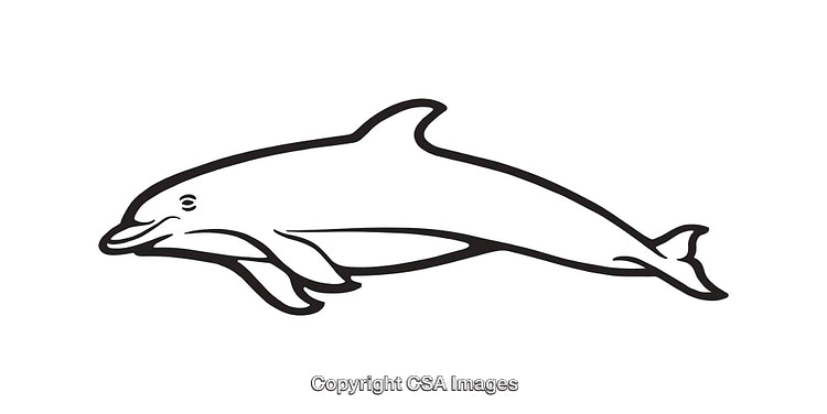 Black and White Line Art Illustration of a Dolphin