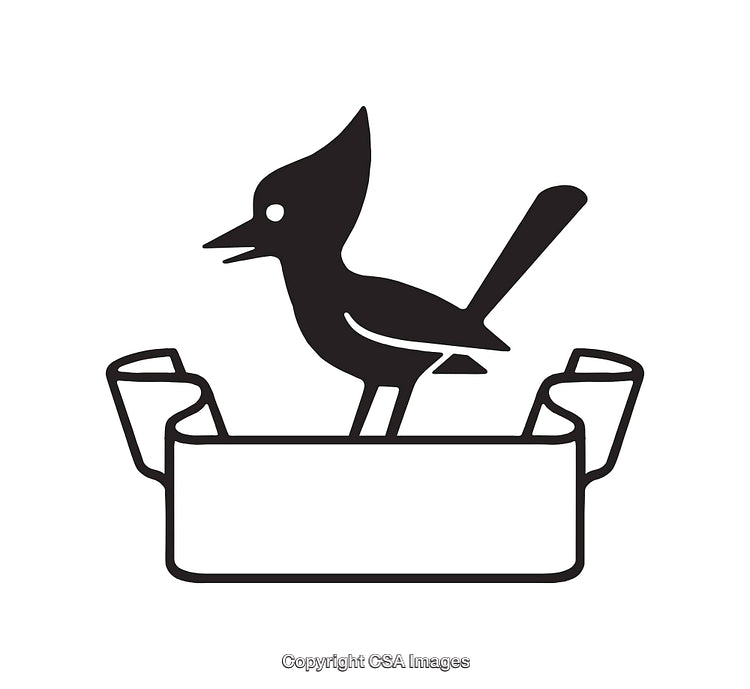 Black and White Bird Line Art with Decorative Ribbon Banner