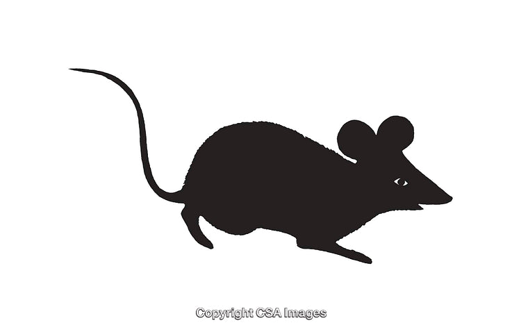 Silhouette Illustration of a Mouse in Profile with Tail and Ears Visible
