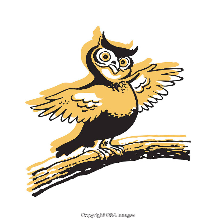Vintage Illustration of a Cheerful Owl Perched on a Branch