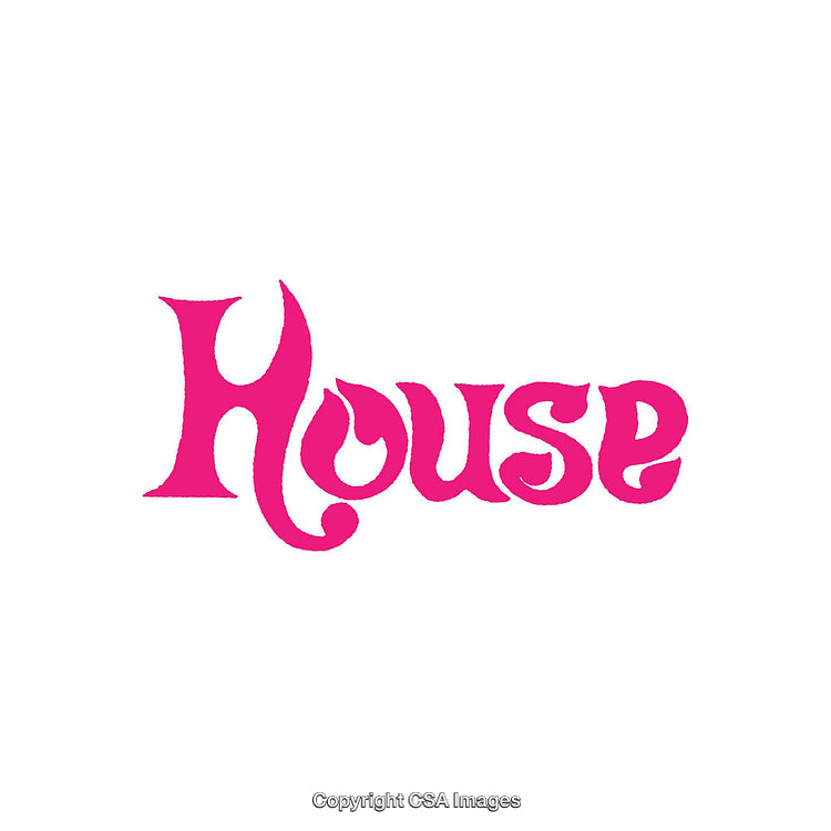 Bold Pink Typography Design Featuring the Word 'House' on White