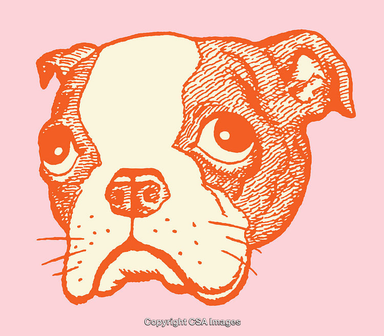 Line Art Illustration of a Sad Dog Face on a Pink Background