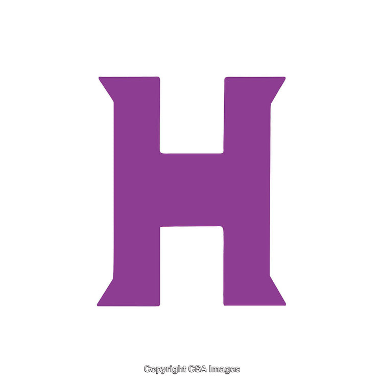 Purple Letter H Icon on a White Background Vector Illustration