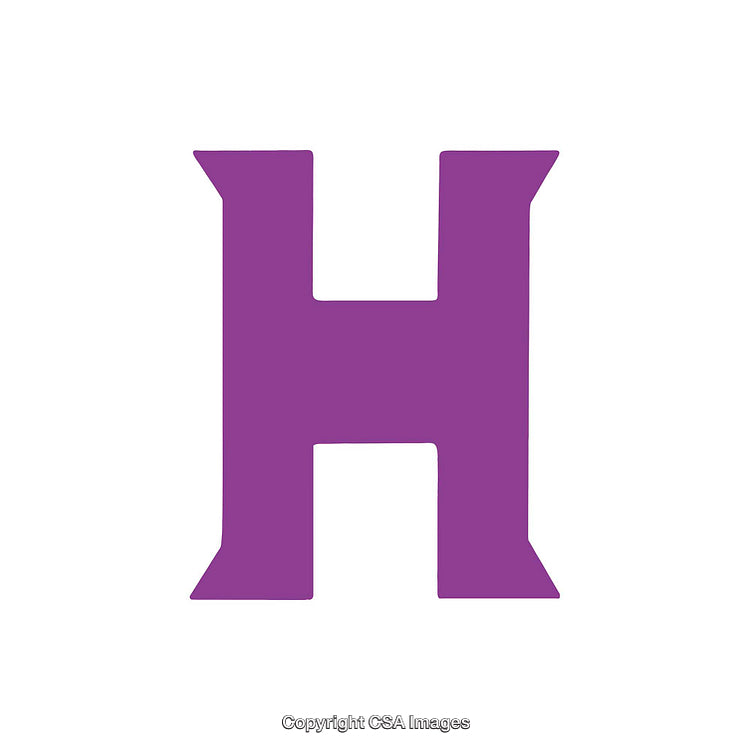 Purple Letter H Icon on a White Background Vector Illustration