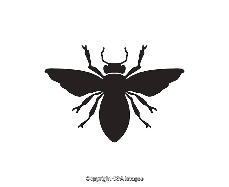 Black And White Silhouette of a Flying Bee Icon