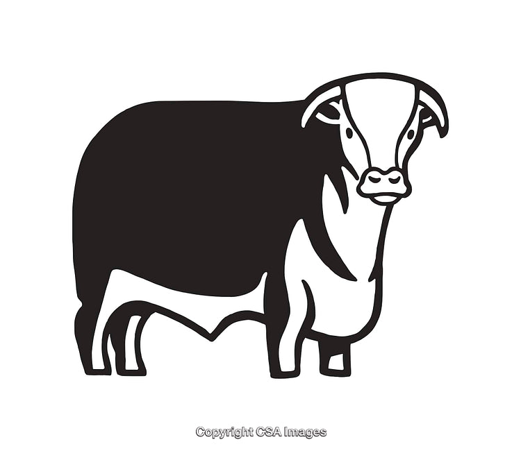 Black and White Line Art Illustration of a Cow with Simple Details