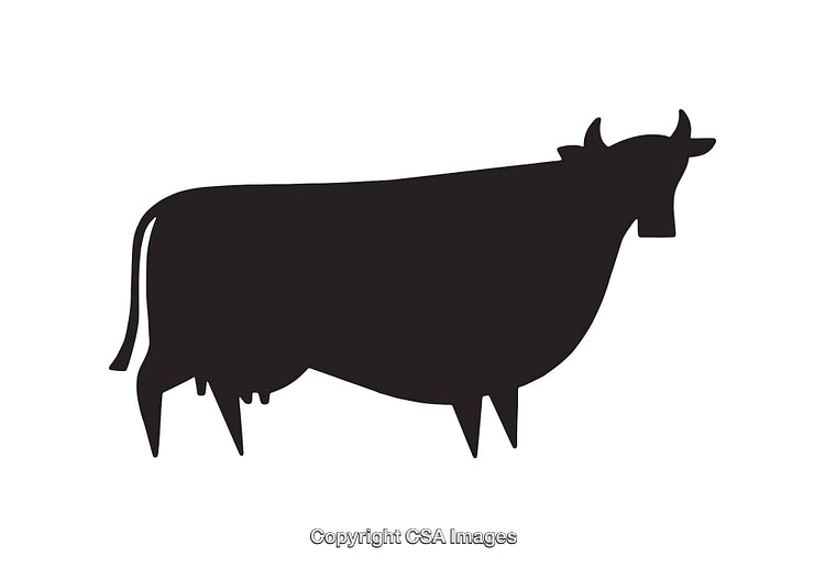 Black and White Silhouette of a Standing Cow Illustration