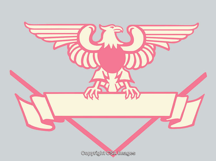 Abstract Eagle Illustration with Ribbon Banner on a Grey Background