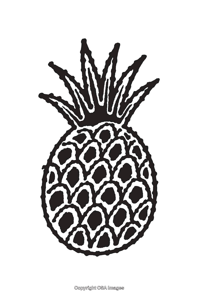 Black and White Line Art Illustration of a Pineapple with Detailed Texture