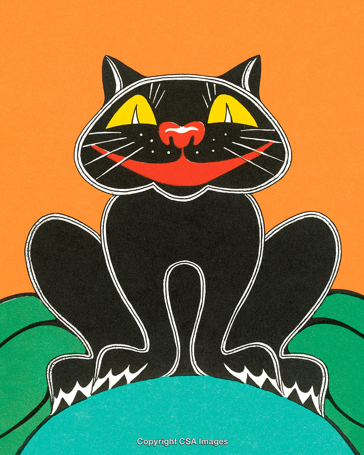 Vibrant Illustration of a Black Cat in a Whimsical Cartoon Style