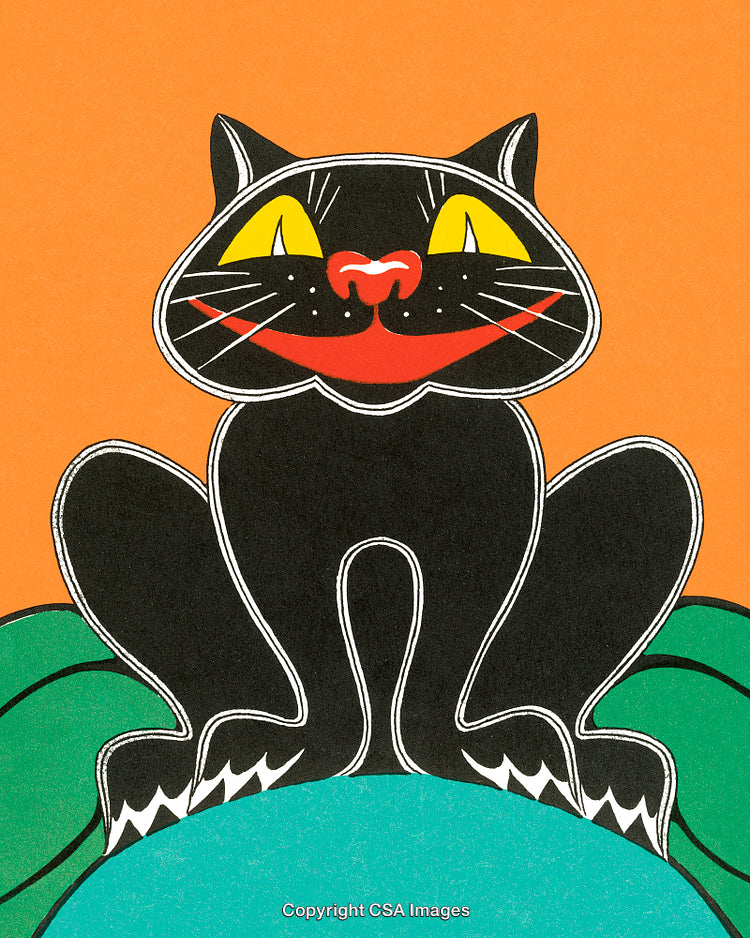 Vibrant Illustration of a Black Cat in a Whimsical Cartoon Style