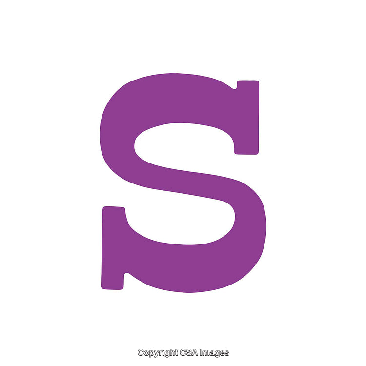 Bold Purple Letter S on a White Background