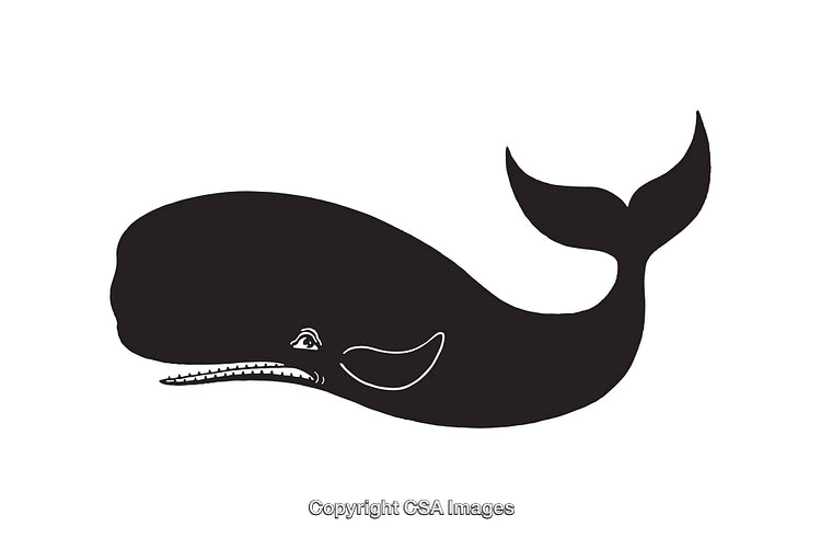 Black And White Illustration of a Sperm Whale Silhouette