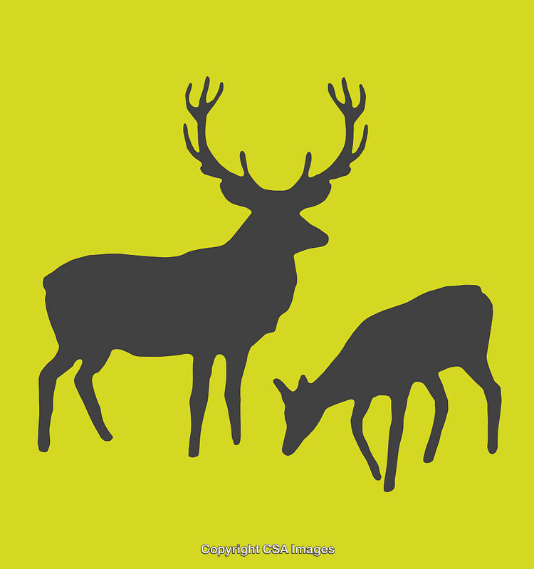 Silhouettes of Deer Pair Set Against a Vibrant Lime Green Background